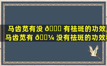 马齿苋有没 🐛 有祛斑的功效,马齿苋有 🌼 没有祛斑的功效和作用